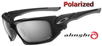 Oakley Scalpel Alinghi Polished Black / Grey Polarized (OO9095-09)